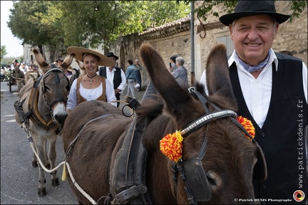 Pernes - Fete du patrimoine 071 IMG 0141 Photo DP