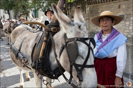 Pernes - Fete du patrimoine 073 IMG 0143 Photo DP