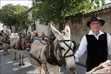 Pernes - Fete du patrimoine 074 IMG 0144 Photo DP