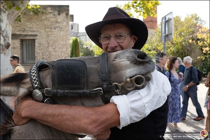 Pernes - Fete du patrimoine 079 IMG 0150 Photo DP