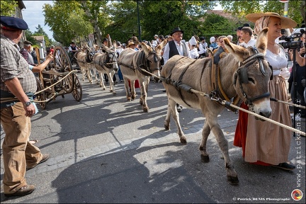 Pernes - Fete du patrimoine 080 IMG 0156 Photo DP