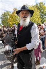 Pernes - Fete du patrimoine 081 IMG 0160 Photo DP