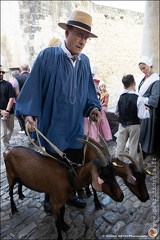 Pernes - Fete du patrimoine 095 IMG 0202 Photo DP