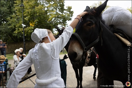 Pernes - Fete du patrimoine 259 IMG 1349 Photo DP