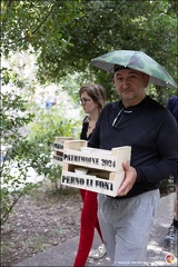 Pernes - Fete du patrimoine 270 IMG 1392 Photo DP