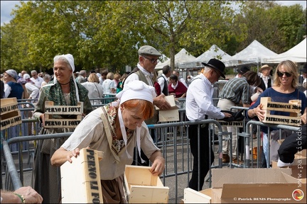 Pernes - Fete du patrimoine 274 IMG 1403 Photo DP