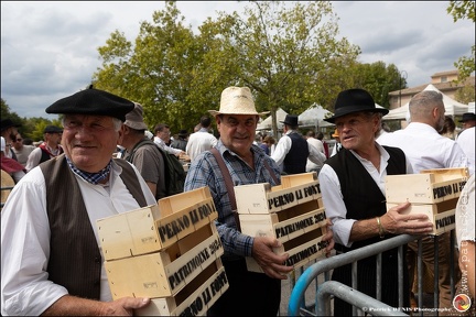 Pernes - Fete du patrimoine 275 IMG 1407 Photo DP