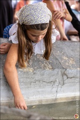 Pernes - Fete du patrimoine 278 IMG 1427 Photo DP