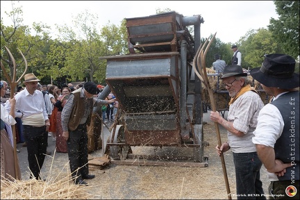 Pernes - Fete du patrimoine 293 IMG 1596 Photo DP