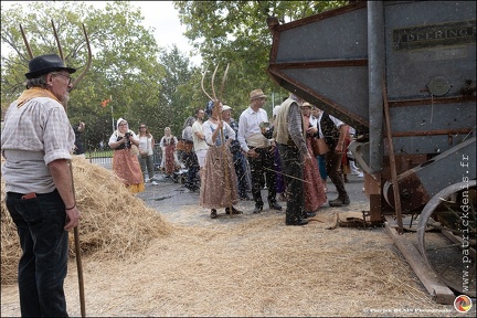 Pernes - Fete du patrimoine 294 IMG 1600 Photo DP
