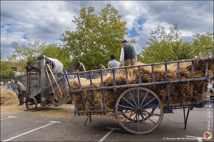 Pernes - Fete du patrimoine 296 IMG 1607 Photo DP