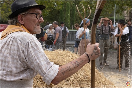 Pernes - Fete du patrimoine 298 IMG 1618 Photo DP