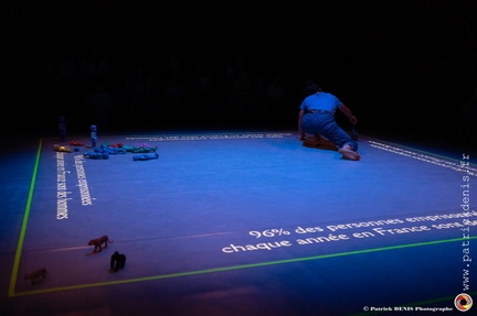 Noé - groupe noce IMG 7249 Photo Patrick DENIS