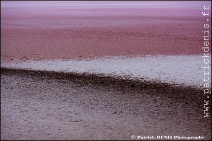 Salins du midi - Aigues Mortes IMG_5792 Photo Patrick_DENIS