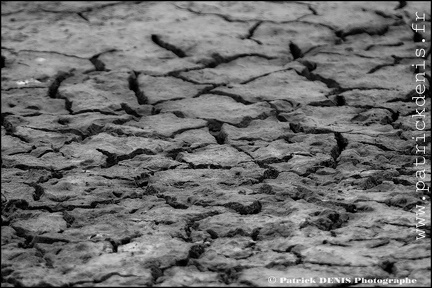 Salins du midi - Aigues Mortes IMG_5719 Photo Patrick_DENIS